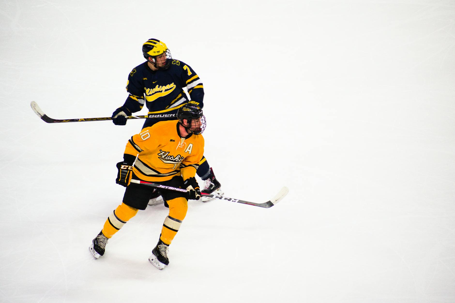 Two male ice hockey players in action on the rink, showcasing skill and teamwork.